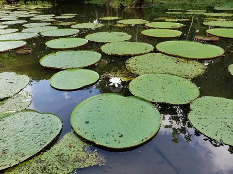 风控管理